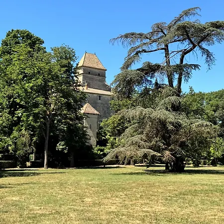 Domaine De Ribaute Vendégház