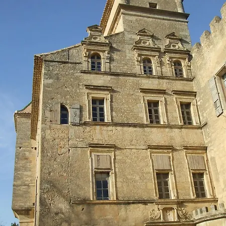 Domaine De Ribaute 4*