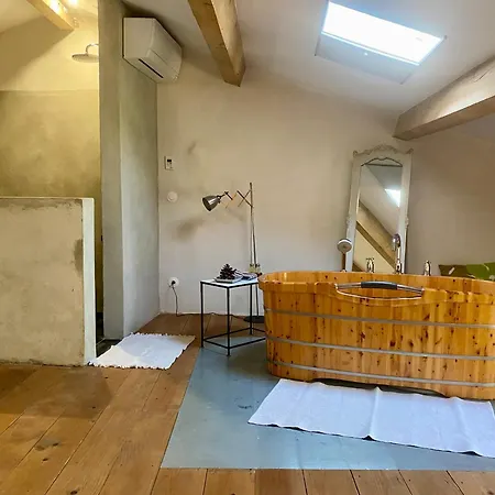 Domaine De Ribaute 4*
