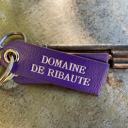 Maison d'hôtes Domaine De Ribaute Lieuran-les-Beziers