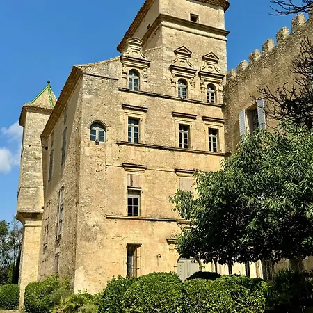 Domaine De Ribaute 4*