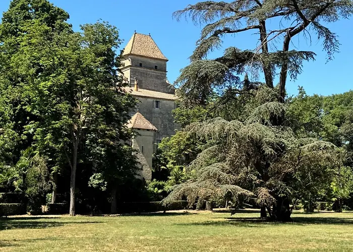 Domaine De Ribaute Guest house